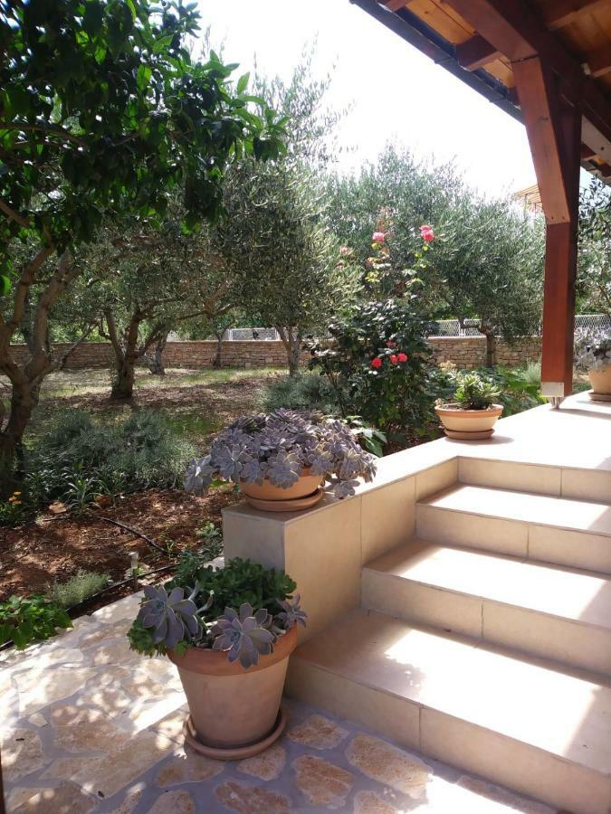 Ida Apartment Sucuraj